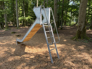 Leiteraufstieg für Anbaurutschen